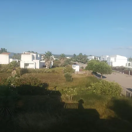 Greece-kyllini Am Ruhiges Og, Tierfreunde *