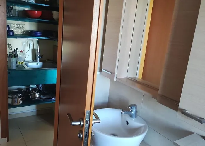 Greece-kyllini Am Ruhiges Og, Tierfreunde *