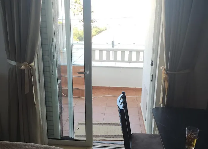 Greece-kyllini Am Ruhiges Og, Tierfreunde