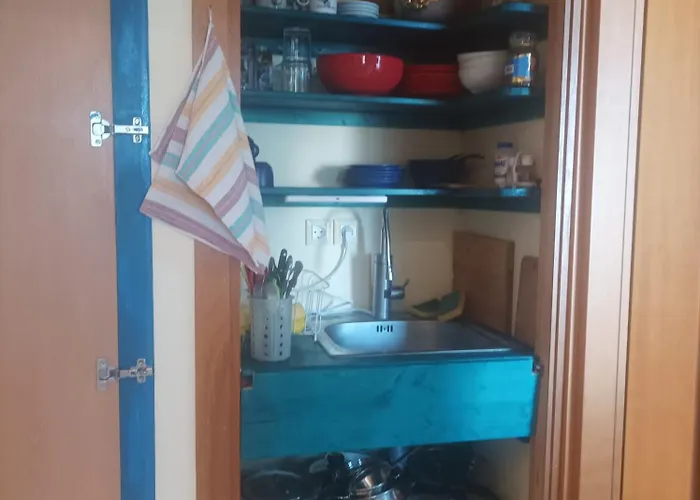 Greece-kyllini Am Ruhiges Og, Tierfreunde *