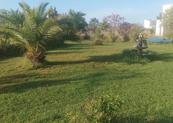 Greece-kyllini Am Ruhiges Og, Tierfreunde Lejlighed *